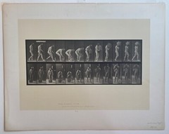 EADWEARD MUYBRIDGE authentic 1887 collotype ANIMAL LOCOMOTION PLATE 218 – lewitt