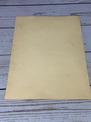 Vintage Edwardian Woman Portrait Photograph Sepia Tone Signed H. Core 1900s