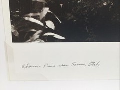 Dan Powell Original Silver Gelatin Photo (Ruins Savona, Italy) 19 x 16, 1999