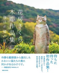 Sakura Hanabusa Wooden Sculptures Cats Every Day 2014-2023