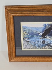 Framed American Bald Eagle Print Picture Of Eagle Coming In For A Fish Dinner