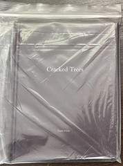 TODD HIDO Nazraeli One Picture Book SET 59 Cracked Trees Signed