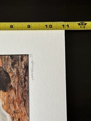 11×14 MARBLE CANTON, KOOTENAY N.P., CANADA Matted & Signed By Photographer