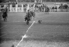 Negative-Rodeo-Festival-Colorado-Mountain-USA-United States of America-1930s-13
