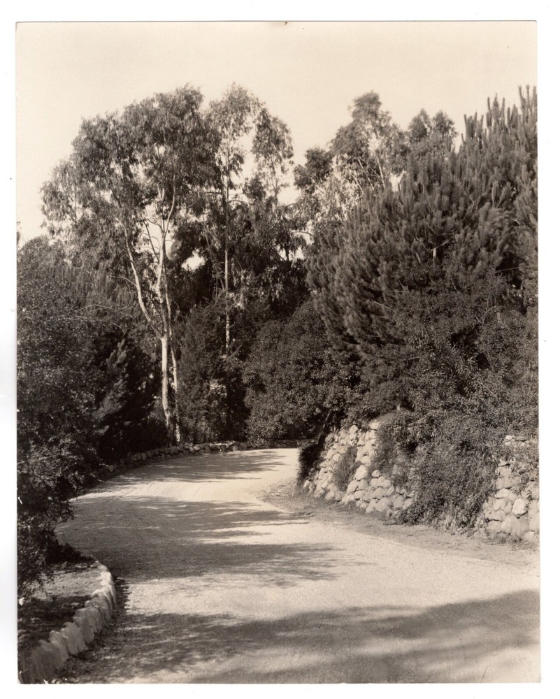Photograph, Pictorialist style/period, Walking path, Busch Gardens (?), Pasadena