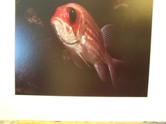 FINE ART PHOTOGRAPH No 10 OF 250 – UNDERWATER AQUATIC LIFE PIC by JERRY H JONES
