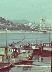 early AGFACOLOR slide, BUDAPEST, ship on Danube, old Elisabeth bridge, vintage
