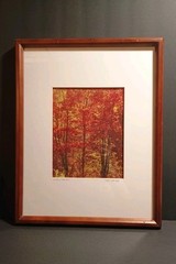 «Indian Red Lake» Signed Photography 15.5 X 19.5″ Framed & Matted 8 x 10