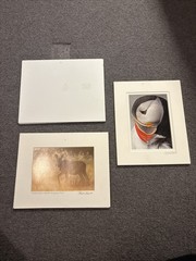 Moose, Cardinal, And Puffin Photographs 10 X 8 And 8 X 10 Barely Used