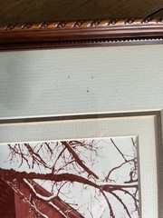 Signed Lee Mann The Barn Yard Framed Photo Print Skagit Valley WA Red Barn Geese
