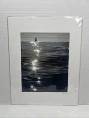 Sailboat & Sunlight Reflection Photo 8×10 Matted By William Hogan Title DIAMONDS