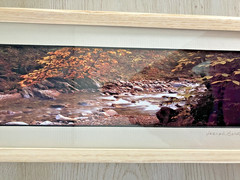 Joseph Barnett Photography Set of 2 Signed Autumn Themed Nature Framed Photos