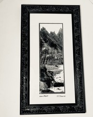 Framed Art Photograph M. Roberts “Wild Palms” Black & White 18.5” X 10.5” Signed