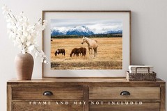 Western Photography Print – Picture of Palomino Horse in Grand Tetons