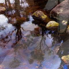 Adrian Jenkins Photo «Elemental» 12″x16″ Matted From The Reflections Collection