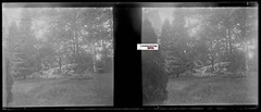 Park, Relaxation, Stereo Glass Photo Plate, Black & White Negative 4.5X10.7 Cm