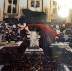Andrew Mosedale Signed Cemetary Ballroom Photograph in Matte 12 x 9 FREE SHIP!!!