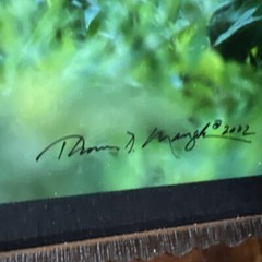 Thomas Mangelsen Cheetah Cub Signed Baby 25×19” Limited Edition Photograph Frame