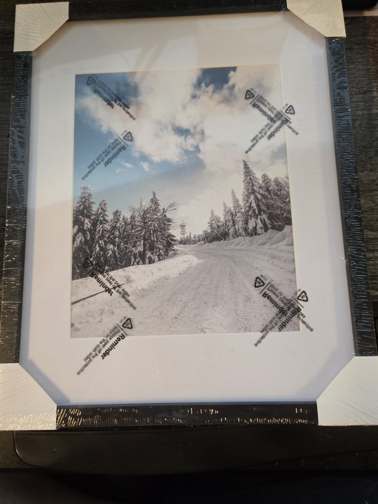 Winter Path Black Framed Wall Hanging 15″ x 12″