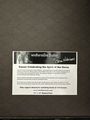 Susan Williams Print Equis: Celebrate The Spirit Of The Horse Framed & Signed
