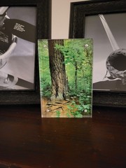 KUMAphotography – «Lost 40″ – Matte Print 4″x6» – in Acrylic Frame