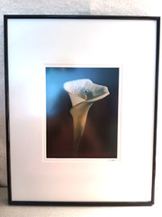 BLACKWATER PHOTOGRAPHY SINDED P. RIMSER PHOTO OF LILIE GLASS FRAMED16 BY 20 INCH