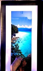 Peter Lik Original “Pure” Coveted Rare Limited Edition (299of 950)