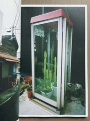 🎈SIGNED! Daido Moriyama – UWAJIMA / cover by Saiko Otake, Limited Ed Super RARE