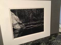 John Sexton signed photograph-White Branch, Yosemite 10×13 on 16×20 mat