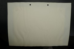 Photo Portrait Tierpark Munich Hellabrunn Zoo Polar Bear Picture Large Format Old Art
