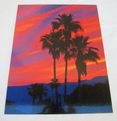 Sunrise Palm Springs California – 11×14 Photograph signed Brian Blackwelder #12