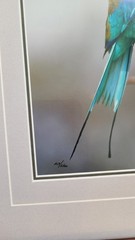 Thomas Mangelsen Jewel of the Serengeti signed numbered