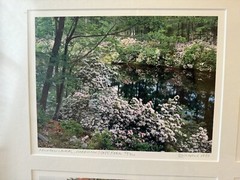 Nick Zungoli Set of Four Framed Photographs Signed Hundson Valley Photographer