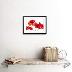 The Art Stop Photo Nature Flower Poppy Heads RED Petals Framed Print F97X5428