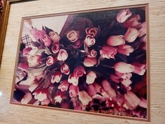 21×17 Vintage Art Photograph TULIPS BY JULIAN E. CARABALLO