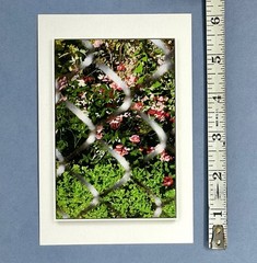Paul Anthony Smith (b. 1988) Group Show Art Announcement Card 2025