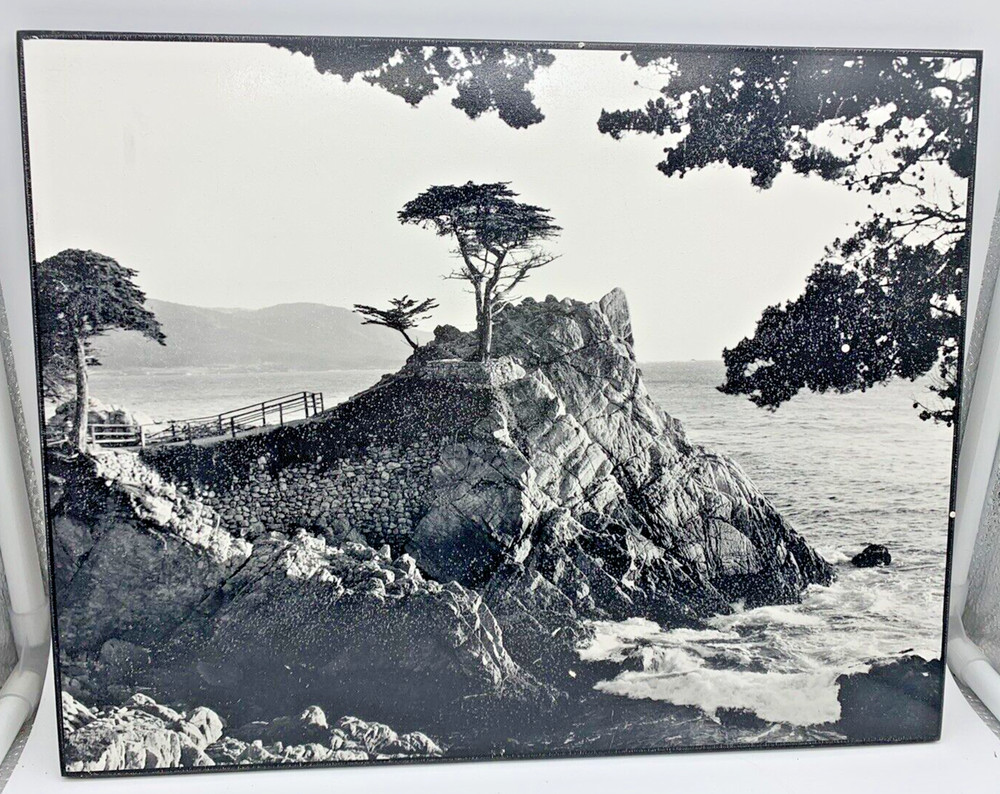 KARL BONFERT handprinted, signed photograph «LONE CYPRESS EVENING” On Wood Frame