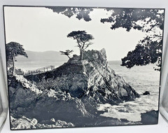 KARL BONFERT handprinted, signed photograph «LONE CYPRESS EVENING” On Wood Frame