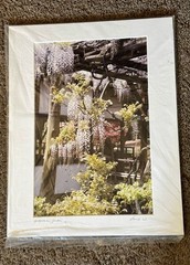 Japanese Garden by Sarah W. Signed Color Photograph, Matted Portrait