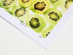 Fine Art Photography Print – Kiwis – Artistic Food Photography