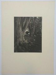 Original 1976 SAL LOPES ‘Birch Trees St Columbia’s NEWPORT’ Platinum Photograph