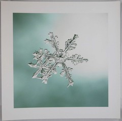 Doug Starn / SNOWFLAKE PRINT SIGNED ALLEVERYTHINGTHATISYOU SNO6_005 8 x 8 1st ed