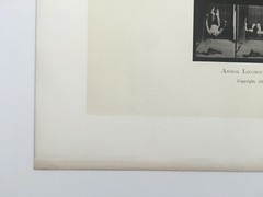 EADWEARD MUYBRIDGE authentic 1887 collotype ANIMAL LOCOMOTION PLATE 363 – lewitt
