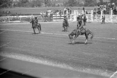 Negative-Rodeo-Festival-Colorado-Mountain-USA-United States of America-1930s-4