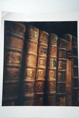 Photo Analogue France Still Life Book 8 5/16X9 13/16in 1980
