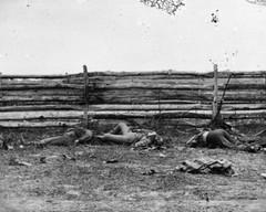 New Civil War Photo: Dead by Fence, Antietam – Sharpsburg Battlefield – 6 Sizes!