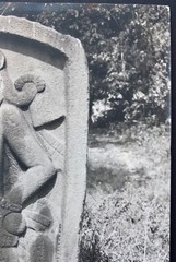 Vintage Photograph Of Mayan Stelae In Jungle With Artist’s Notes On Back 20″X16″