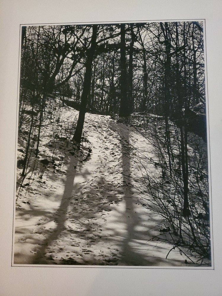 SNOW TREES FOOTSTEPS ORIGINAL SIGNED ART PHOTO B&W STETTNER VTG MATTE NJ CAMERA