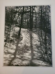 SNOW TREES FOOTSTEPS ORIGINAL SIGNED ART PHOTO B&W STETTNER VTG MATTE NJ CAMERA