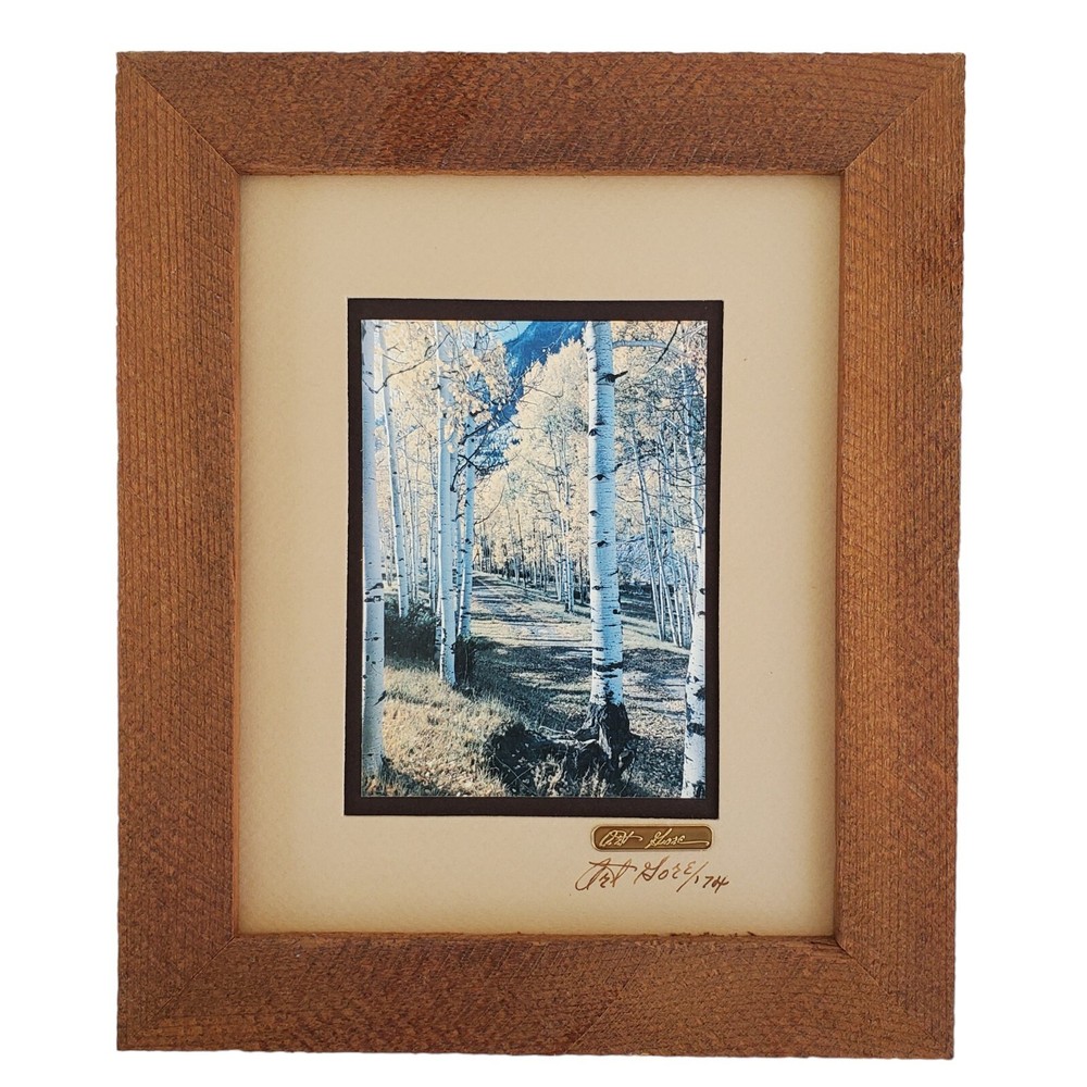 Art Gore Artwork Photography Marble Trail Vintage Framed Original Rustic Scenery
